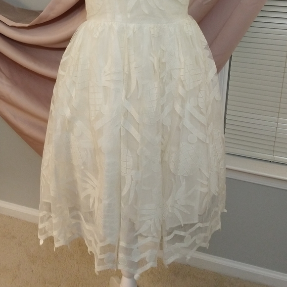 🆕Anthropologie🌷 Scalloped Lace Dress - Picture 8 of 10